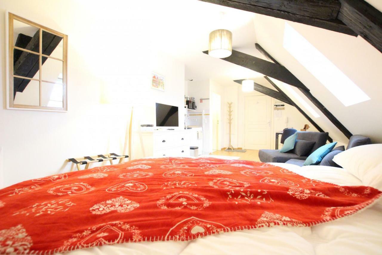 Colmar Historic Center - Cosy Studio Petit Cathedrale 1 - Bookingalsace المظهر الخارجي الصورة